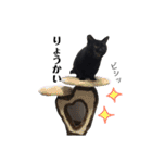 黒犬＆黒猫（個別スタンプ：33）