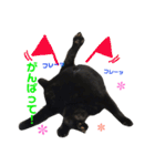 黒犬＆黒猫（個別スタンプ：34）