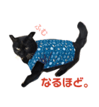 黒犬＆黒猫（個別スタンプ：38）