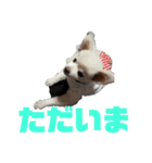 よんよんシリーズ（個別スタンプ：4）
