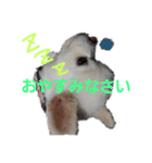 よんよんシリーズ（個別スタンプ：8）