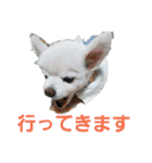 よんよんシリーズ（個別スタンプ：18）
