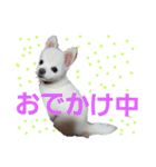 よんよんシリーズ（個別スタンプ：21）
