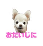 よんよんシリーズ（個別スタンプ：32）