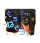 カニヘンダックスのポポ（個別スタンプ：5）