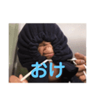カナリアチャンネル  スタンプ（個別スタンプ：1）