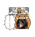 ねこっちっち（個別スタンプ：3）