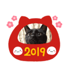 ねこっちっち（個別スタンプ：4）