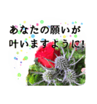 クリスマスに花を♪（個別スタンプ：11）