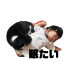 ひろひよとたまに犬猫（個別スタンプ：4）