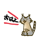 琥珀猫との生活2（個別スタンプ：18）