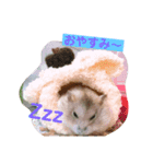 ハムスターのきなこだよ！（個別スタンプ：5）