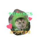 ハムスターのきなこだよ！（個別スタンプ：8）