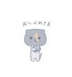 猫のさーちゃん（個別スタンプ：2）