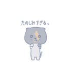 猫のさーちゃん（個別スタンプ：9）