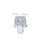 猫のさーちゃん（個別スタンプ：14）