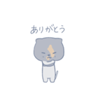 猫のさーちゃん（個別スタンプ：29）