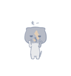 猫のさーちゃん（個別スタンプ：31）