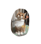 日々けだま2（個別スタンプ：2）