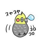 ピーコとどんきち日常編（個別スタンプ：1）