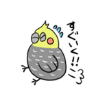ピーコとどんきち日常編（個別スタンプ：3）