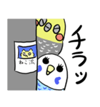 ピーコとどんきち日常編（個別スタンプ：14）