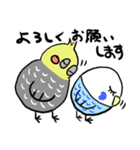 ピーコとどんきち日常編（個別スタンプ：16）