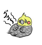 ピーコとどんきち日常編（個別スタンプ：17）