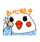 ピーコとどんきち日常編（個別スタンプ：24）