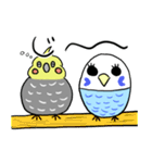 ピーコとどんきち日常編（個別スタンプ：30）