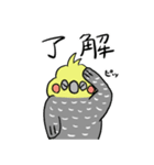 ピーコとどんきち日常編（個別スタンプ：33）