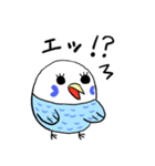 ピーコとどんきち日常編（個別スタンプ：38）