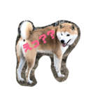 うちの犬ちゃん（個別スタンプ：5）