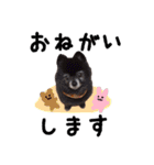 犬猫♡あもひふてん3（個別スタンプ：5）