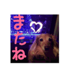 犬猫♡あもひふてん3（個別スタンプ：18）