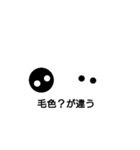 黒丸（個別スタンプ：5）