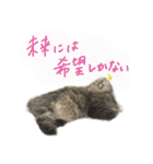 厨2くさい猫（個別スタンプ：32）