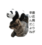 トラリーニョ（個別スタンプ：1）