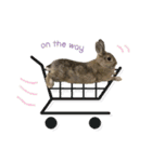 うさぎのヌーノイ（個別スタンプ：2）