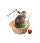 うさぎのヌーノイ（個別スタンプ：7）