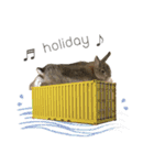 うさぎのヌーノイ（個別スタンプ：21）