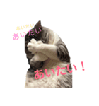 ききさん（個別スタンプ：8）