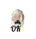 ききさん（個別スタンプ：16）