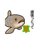 会話ドンちゃんの愉快な仲間たちスタンプ（個別スタンプ：38）
