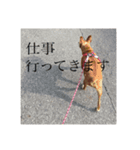 僕の名前はピース（個別スタンプ：2）