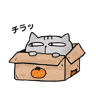 アメショのユウたん【日常会話編】（個別スタンプ：17）