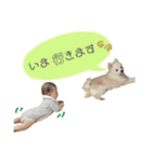 あやぱる（個別スタンプ：5）