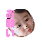 文句多めのしのぴ（個別スタンプ：14）