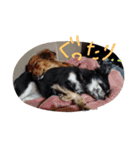 テテとノンの日常②（個別スタンプ：22）