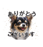 チワワのピカソ（個別スタンプ：1）